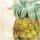Jace Grey, Tropical Pineapple