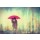 Taylor Greene, Paris In The Rain