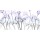 Albert Koetsier, Amethyst Passion