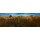 Gerard van de Weerd, Peatland II