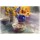 Dorry van de Winkel, Sunflowers and Mango's