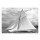 Guillaume Plisson, Les Voiles de Saint-Tropez