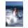 Guillaume Plisson, Phare des Pierres Noires