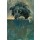 Theo Onnes, Woef