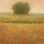 Hans Dolieslager, Yellow Field