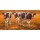 Geke Steenmetz, Cow calves in the early morning