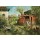 Marius van Dokkum, Henhouse