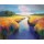 Hans Musters, Drentsche Aa