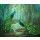 Jan Kooistra, Two peacocks