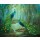 Jan Kooistra, Two peacocks