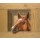 Johan Mulder, Paard