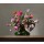 Roman Reisinger, Flower still life with small tortoiseshell butterfly