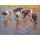 Geke Steenmetz, Cattle cooling down
