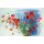 Carla Rodenberg, Spring bouquet