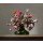Roman Reisinger, Flower still life with small tortoiseshell butterfly