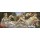 Sandro Botticelli, Venus und Mars. Um 1485