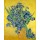 Vincent van Gogh, Irise. Saint-Rémy-de-Provence, May 1890.