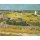 Vincent van Gogh, Die Ernte. Arles, Juni 1888.