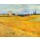Vincent van Gogh, Weizenfeld (Champ de blé). 1888.