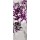 Sally Scaffardi, PURPLE ALLURE I