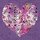 Sally Scaffardi, HEART