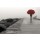 Sandro De Carvalho, RED UMBRELLA III