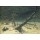 Caspar David Friedrich, Winterlandschaft. 1811