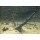 Caspar David Friedrich, Winterlandschaft. 1811