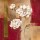Verbeek & Van den Broek, SHIMMERING BLOSSOM
