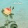 Tony Pazan, YOUR LOVE III