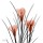 Albert Koetsier, CROCUS ORANGE II