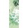 Sally Scaffardi, GREEN ALLURE III
