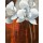 Rian Withaar, WHITE ORCHID I