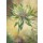 Rian Withaar, FANTASY FLOWER
