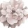 Rian Withaar, PINK PRECIOUS