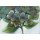 Rian Withaar, HYDRANGEA II