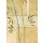 Valerie Prosnov, Bamboo II
