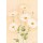 Nathalie Boucher, White margarite II