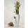 Renee, Bamboo in white vase I