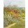 HELEN ALLINGHAM, A Herbaceous Border