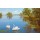 Slava, SWANS ON THE LAKE