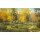Igor Priscepa, AUTUMN WAY I