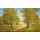 Helmut Glassl, ROMANTIC LANE I