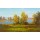 Slava, AUTUMN LANDSCAPE