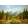 Helmut Glassl, WALDBACH IN DER TATRA