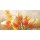 Enrico Sestillo, ORANGE TULIPS