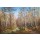H. Buchner, ERSTER FRÜHLINGSTAG IN DER TAIGA