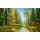 H. Buchner, STILLER WALDSEE