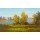 Slava, AUTUMN LANDSCAPE