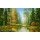 H. Buchner, STILLER WALDSEE